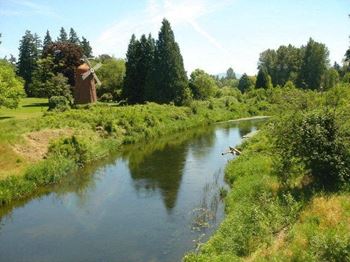 Minutes from microsoft, nintendo and marymoor park